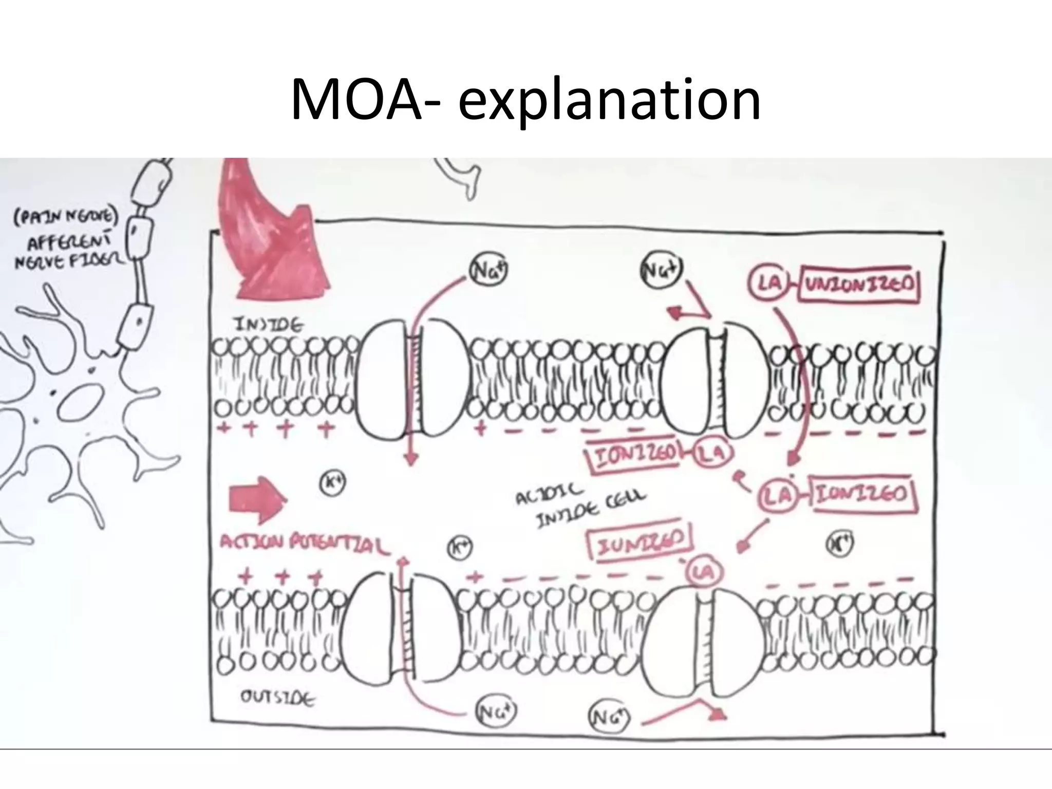 MOA- explanation
 