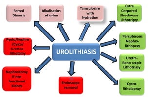 UROLITHIASIS
Forced
Diuresis
Alkalisation
of urine
Tamsulosine
with
hydration
Extra
Corporeal
Shockwave
Lithotripsy
Percutenous
Nephro-
lithopexy
Uretro-
Reno scopic
Lithotripsy
Cysto-
litholapexy
Pyelo/Nephro
/Cysto/
Urethro-
lithotomy
Nephrectomy
If non
functional
kidney
Endoscopic
removal
 