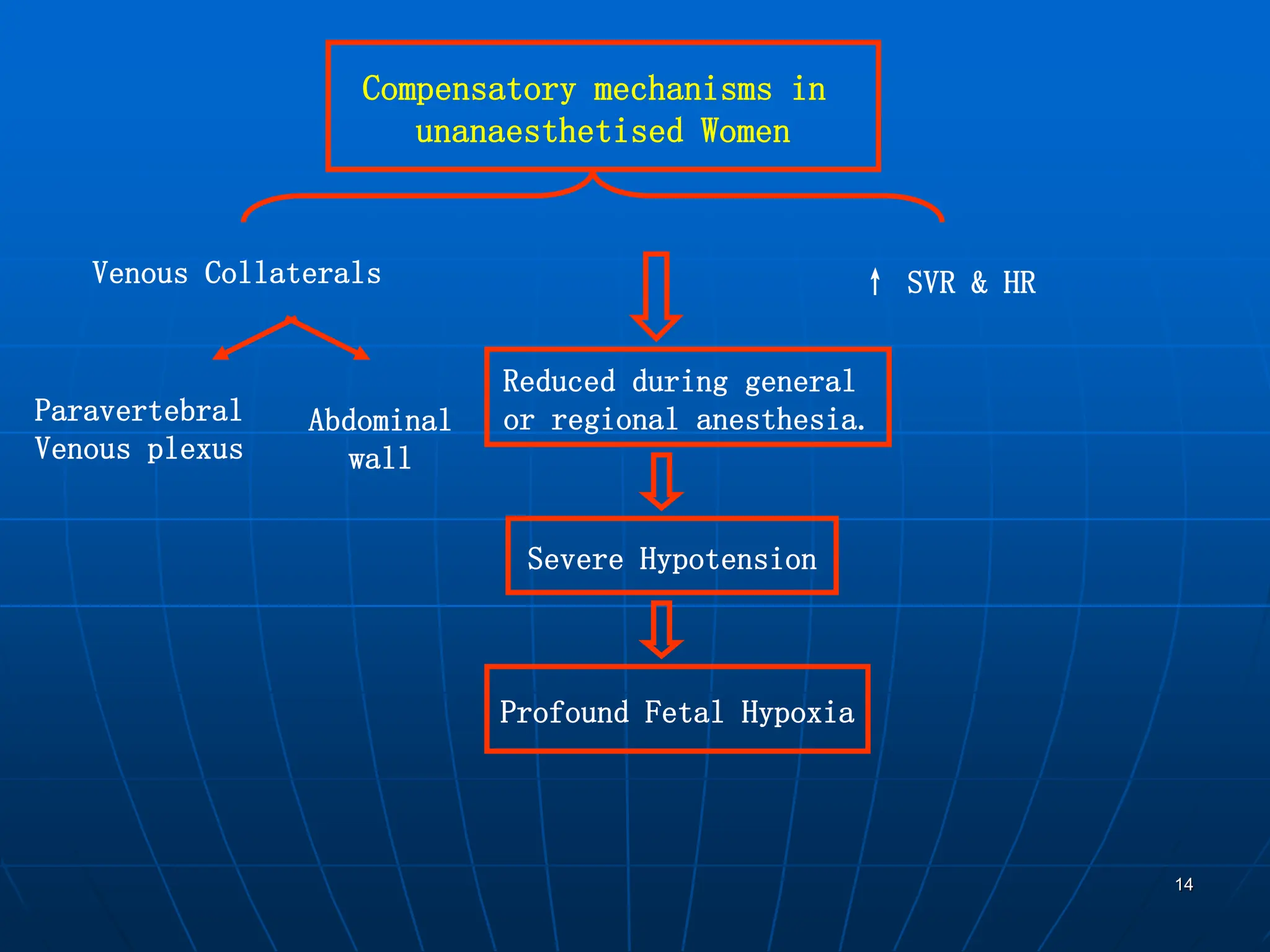 14
Compensatory mechanisms in
unanaesthetised Women
Venous Collaterals
Paravertebral
Venous plexus
Abdominal
wall
↑ SVR & HR
Reduced during general
or regional anesthesia.
Severe Hypotension
Profound Fetal Hypoxia
 