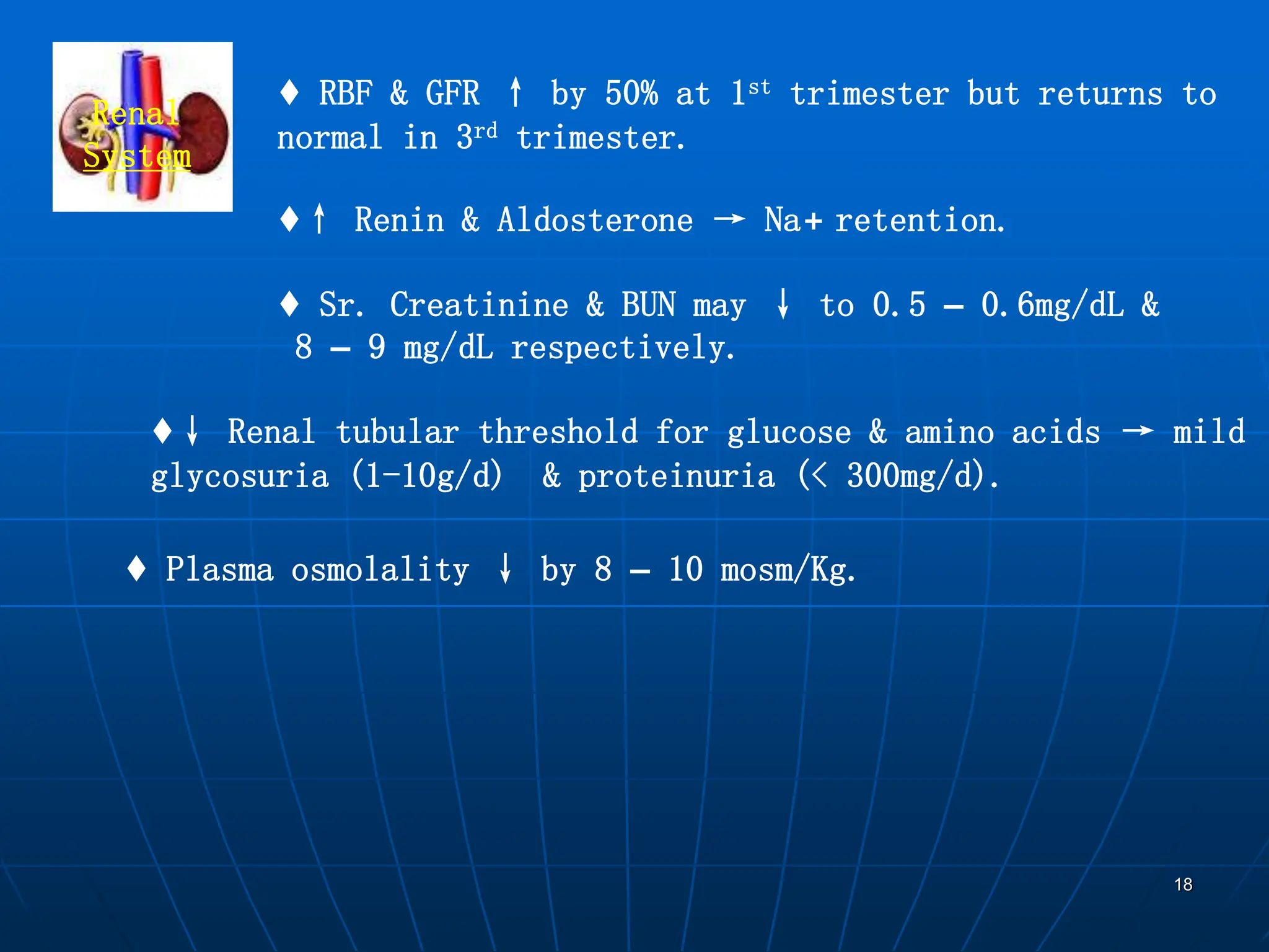 18
Renal
System
♦ RBF & GFR ↑ by 50% at 1st trimester but returns to
normal in 3rd trimester.
♦↑ Renin & Aldosterone → Na+ retention.
♦ Sr. Creatinine & BUN may ↓ to 0.5 – 0.6mg/dL &
8 – 9 mg/dL respectively.
♦↓ Renal tubular threshold for glucose & amino acids → mild
glycosuria (1-10g/d) & proteinuria (< 300mg/d).
♦ Plasma osmolality ↓ by 8 – 10 mosm/Kg.
 
