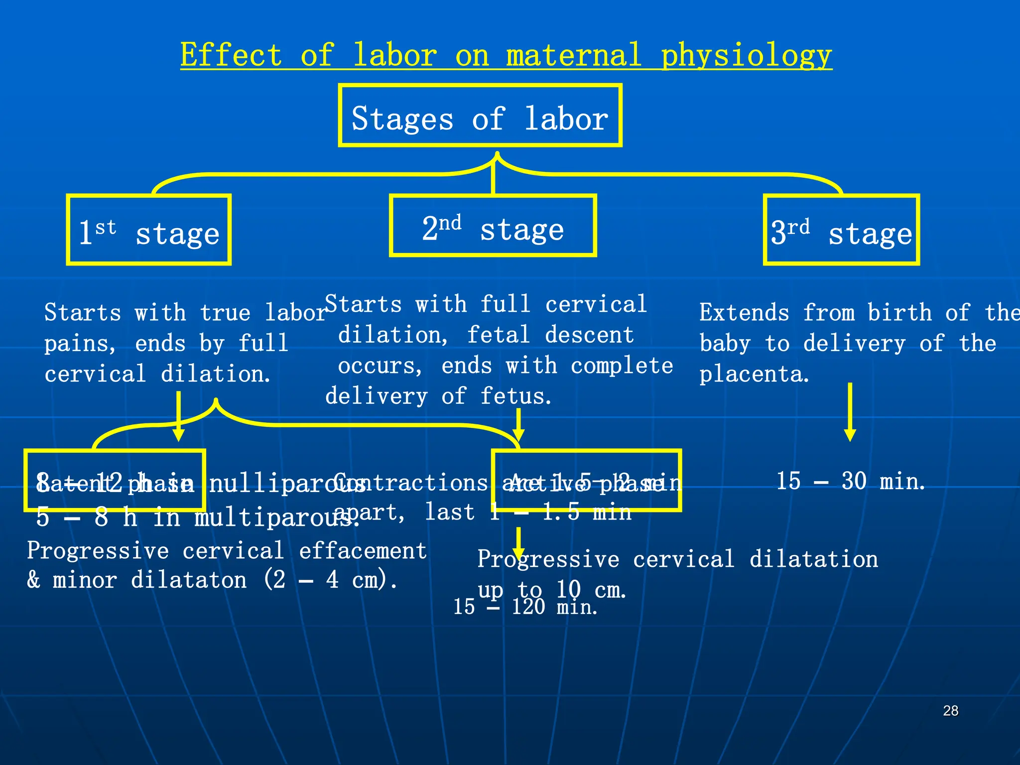 28
Effect of labor on maternal physiology
Stages of labor
1st stage 2nd stage 3rd stage
Starts with true labor
pains, ends by full
cervical dilation.
Starts with full cervical
dilation, fetal descent
occurs, ends with complete
delivery of fetus.
Extends from birth of the
baby to delivery of the
placenta.
Latent phase Active phase
Progressive cervical effacement
& minor dilataton (2 – 4 cm).
Progressive cervical dilatation
up to 10 cm.
8 – 12 h in nulliparous
5 – 8 h in multiparous.
Contractions are 1.5- 2 min
apart, last 1 – 1.5 min
15 – 120 min.
15 – 30 min.
 