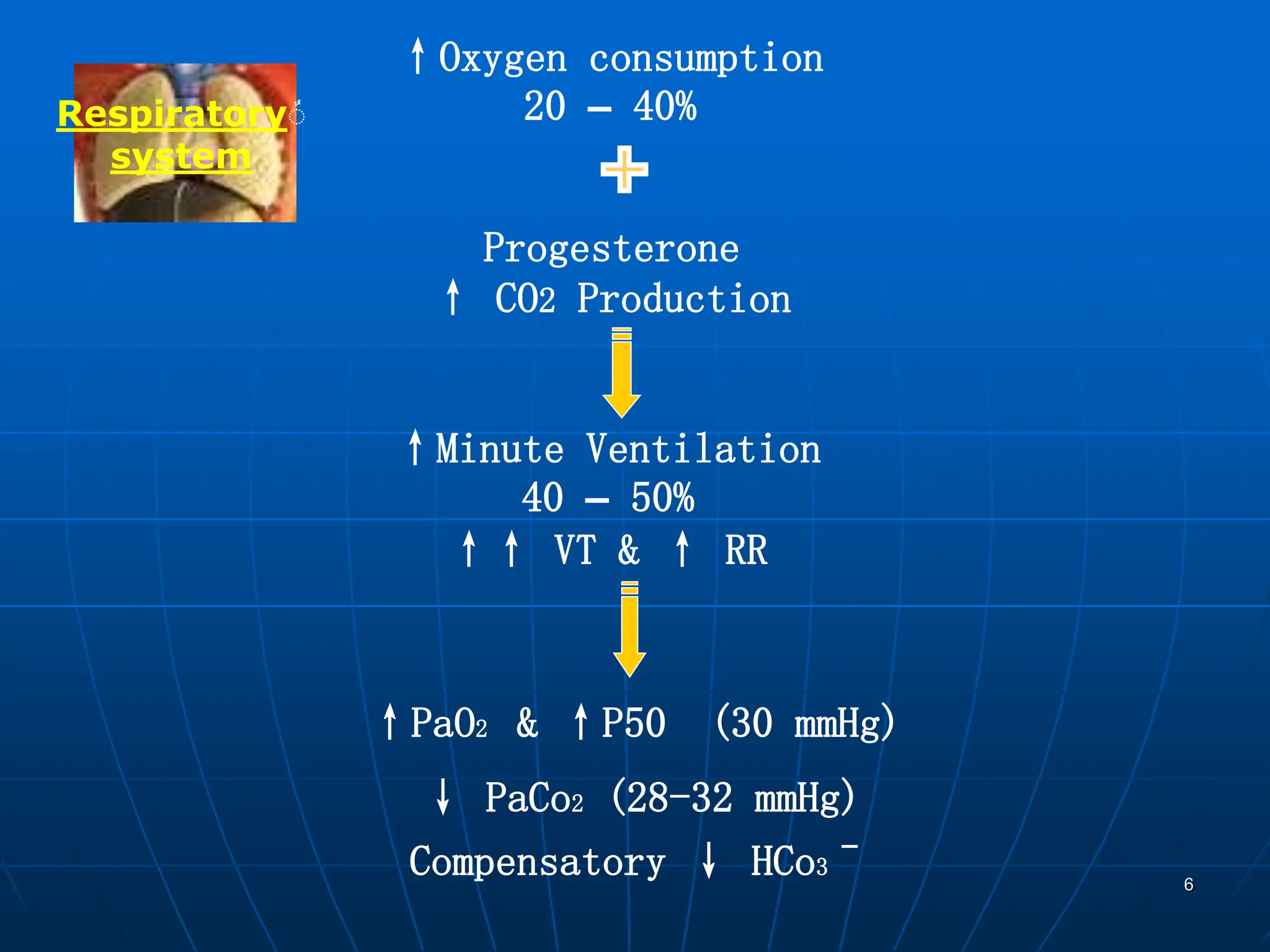 6
ٌ
Respiratory
system
↑Oxygen consumption
20 – 40%
↑Minute Ventilation
40 – 50%
↑↑ VT & ↑ RR
& ↑P50 (30 mmHg)
↑PaO2
↓ PaCo2 (28-32 mmHg)
Compensatory ↓ HCo3ˉ
Progesterone
↑ CO2 Production
 