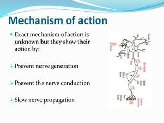 Mechanism of action
 Exact mechanism of action is
unknown but they show their
action by;
Prevent nerve generation
Prevent the nerve conduction
Slow nerve propagation
 