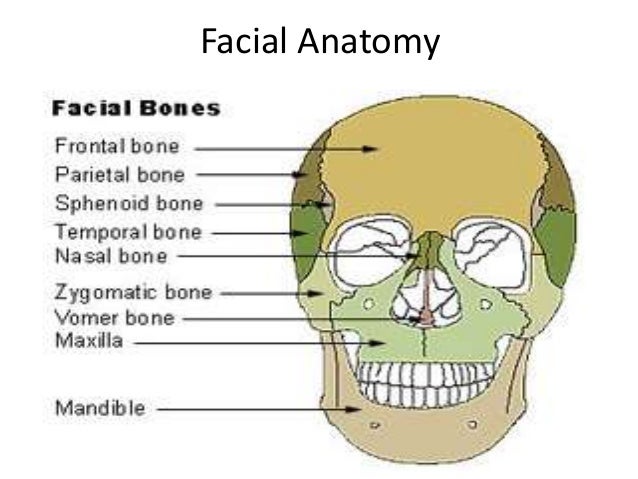 Anesthetic management of facio maxillary trauma