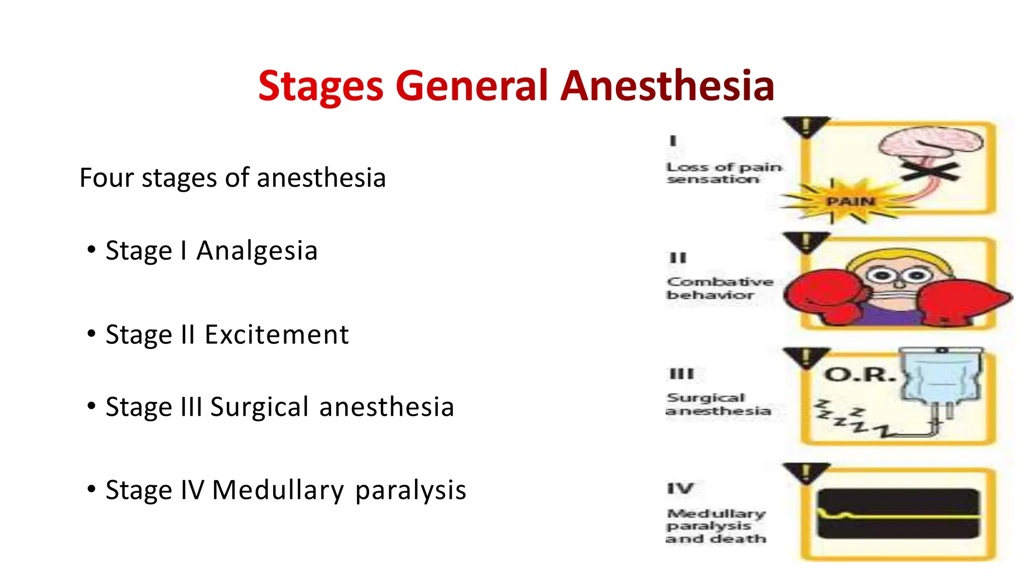 Four stages of anesthesia
• Stage I Analgesia
• Stage II Excitement
• Stage III Surgical anesthesia
• Stage IV Medullary paralysis
 