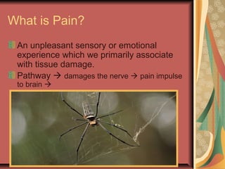 10
What is Pain?
An unpleasant sensory or emotional
experience which we primarily associate
with tissue damage.
Pathway  damages the nerve  pain impulse
to brain 
 