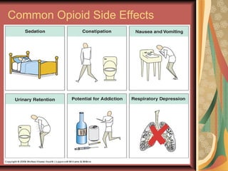 23
Common Opioid Side Effects
 