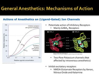Actions of Anesthetics on (Ligand-Gated) Ion Channels
• Potentiate action of Inhibitory Receptors
• Mainly GABAA Receptors
• Two-Pore Potassium channels (Not
affected by intravenous anesthetics)
• Inhibit excitatory receptors
• NMDA Glutamate Receptors by Xenon,
Nitrous Oxide and Ketamine
 