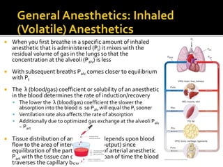  When you first breathe in a specific amount of inhaled
anesthetic that is administered (PI) it mixes with the
residual volume of gas in the lungs so that the
concentration at the alveoli (Palv) is less
 With subsequent breaths Palv comes closer to equilibrium
with PI
 The λ (blood/gas) coefficient or solubility of an anesthetic
in the blood determines the rate of induction/recovery
 The lower the λ (blood/gas) coefficient the slower the
absorption into the blood is so Palv will equal the PI sooner
 Ventilation rate also affects the rate of absorption
 Additionally due to optimized gas exchange at the alveoli Palv
~ Part
 Tissue distribution of an anesthetic depends upon blood
flow to the area of interest (cardiac output) since
equilibration of the partial pressure of arterial anesthetic
Part with the tissue can occur in the span of time the blood
traverses the capillary bed
 