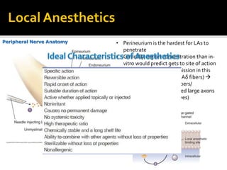 Peripheral Nerve Anatomy
Local Anesthetics
• Perineurium is the hardest for LAs to
penetrate
• Clinically higher concentration than in-
vitro would predict gets to site of action
• Blocking synaptic transmission in this
order: small myelinated (Aδ fibers) 
unmyelinated fibers (C fibers/
nociceptors)  myelinated large axons
(sensory then motor nerves)
 