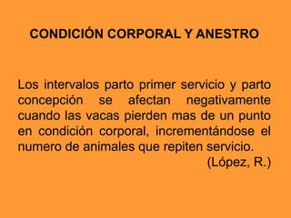 CONDICIÓN CORPORAL Y ANESTRO
Los intervalos parto primer servicio y parto
concepción se afectan negativamente
cuando las vacas pierden mas de un punto
en condición corporal, incrementándose el
numero de animales que repiten servicio.
(López, R.)
 