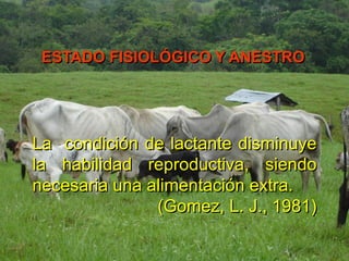 La condición de lactante disminuye
la habilidad reproductiva, siendo
necesaria una alimentación extra.
(Gomez, L. J., 1981)
ESTADO FISIOLÓGICO Y ANESTRO
 