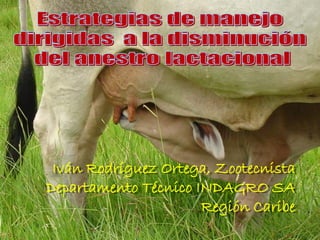 Iván Rodríguez Ortega, Zootecnista
Departamento Técnico INDAGRO SA
Región Caribe
 