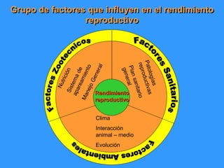 Grupo de factores que influyen en el rendimiento
reproductivo
Clima
Interacción
animal – medio
Evolución
Rendimiento
reproductivo
 
