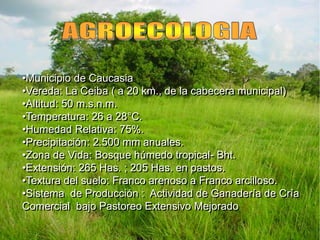 •Municipio de Caucasia
•Vereda: La Ceiba ( a 20 km., de la cabecera municipal)
•Altitud: 50 m.s.n.m.
•Temperatura: 26 a 28°C.
•Humedad Relativa: 75%.
•Precipitación: 2.500 mm anuales.
•Zona de Vida: Bosque húmedo tropical- Bht.
•Extensión: 265 Has. ; 205 Has. en pastos.
•Textura del suelo: Franco arenoso a Franco arcilloso.
•Sistema de Producción : Actividad de Ganadería de Cría
Comercial bajo Pastoreo Extensivo Mejorado
 