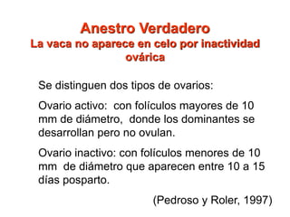 Anestro Verdadero
La vaca no aparece en celo por inactividad
ovárica
Se distinguen dos tipos de ovarios:
Ovario activo: con folículos mayores de 10
mm de diámetro, donde los dominantes se
desarrollan pero no ovulan.
Ovario inactivo: con folículos menores de 10
mm de diámetro que aparecen entre 10 a 15
días posparto.
(Pedroso y Roler, 1997)
 