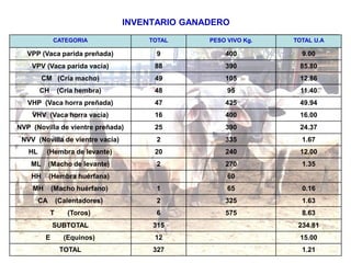 CATEGORIA TOTAL PESO VIVO Kg. TOTAL U.A
VPP (Vaca parida preñada) 9 400 9.00
VPV (Vaca parida vacía) 88 390 85.80
CM (Cría macho) 49 105 12.86
CH (Cría hembra) 48 95 11.40
VHP (Vaca horra preñada) 47 425 49.94
VHV (Vaca horra vacía) 16 400 16.00
NVP (Novilla de vientre preñada) 25 390 24.37
NVV (Novilla de vientre vacía) 2 335 1.67
HL (Hembra de levante) 20 240 12.00
ML (Macho de levante) 2 270 1.35
HH (Hembra huérfana) 60
MH (Macho huérfano) 1 65 0.16
CA (Calentadores) 2 325 1.63
T (Toros) 6 575 8.63
SUBTOTAL 315 234.81
E (Equinos) 12 15.00
TOTAL 327 1.21
INVENTARIO GANADERO
 