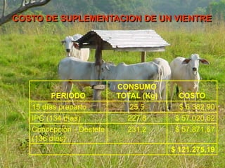 PERIODO
CONSUMO
TOTAL (Kg) COSTO
15 días preparto 25,5 $ 6.382,90
IPC (134 días) 227,8 $ 57.020,62
Concepción - Destete
(136 días)
231,2 $ 57.871,67
$ 121.275,19
COSTO DE SUPLEMENTACION DE UN VIENTRE
 