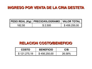 INGRESO POR VENTA DE LA CRIA DESTETA
PESO REAL (Kg) PRECIO/KILOGRAMO VALOR TOTAL
182,50 $ 2.500 $ 456.250,00
RELACION COSTO/BENEFICIO
COSTO BENEFICIO C/B
$ 121.275,19 $ 456.250,00 26.58%
 