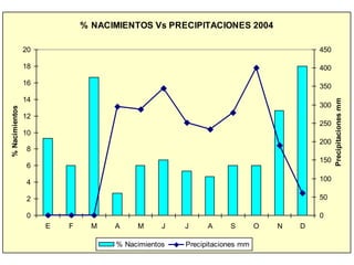 % NACIMIENTOS Vs PRECIPITACIONES 2004
0
2
4
6
8
10
12
14
16
18
20
E F M A M J J A S O N D
%Nacimientos
0
50
100
150
200
250
300
350
400
450
Precipitacionesmm
% Nacimientos Precipitaciones mm
 