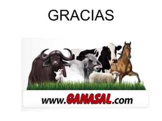GRACIAS
 