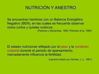 NUTRICIÓN Y ANESTRO
Se encuentran hembras con un Balance Energético
Negativo (BEN), en las cuales es frecuente observar
ciclos cortos y quistes ováricos.
(Pedroso y Bonachea, 1993; Pedroso et al, 1995)
El estado nutricional reflejado por el peso y la condición
corporal durante el periodo de apareamiento,
marcadamente influencia la fertilidad.
(Lamond citado por Gomez, L.J., 1981)
 