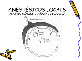 ANESTÉSICOS LOCAIS ASPECTOS CLÍNICOS: DINÃMICA DO BLOQUEIO 