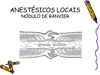 ANESTÉSICOS LOCAIS NÓDULO DE RANVIER 