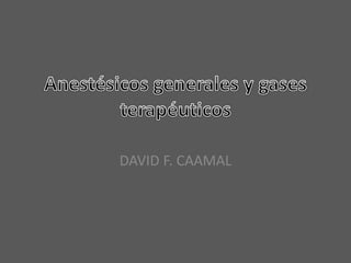 DAVID F. CAAMAL
 