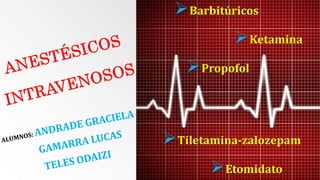 Barbitúricos
Ketamina
Propofol
Tiletamina-zalozepam
Etomidato
 