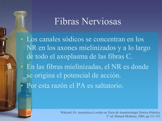 Fibras Nerviosas
• Los canales sódicos se concentran en los
NR en los axones mielinizados y a lo largo
de todo el axoplasma de las fibras C.
• En las fibras mielinizadas, el NR es donde
se origina el potencial de acción.
• Por esta razón el PA es saltatorio.
Wikinski JA. Anestésicos Locales en Texto de Anestesiología Teórico-Práctica,
2° ed. Manual Moderno, 2004, pp 311-331
 
