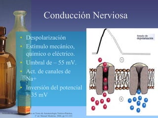 Conducción Nerviosa
• Despolarización
• Estímulo mecánico,
químico o eléctrico.
• Umbral de – 55 mV.
• Act. de canales de
Na+
• Inversión del potencial
+ 35 mV
Wikinski JA. Anestésicos Locales en Texto de Anestesiología Teórico-Práctica,
2° ed. Manual Moderno, 2004, pp 311-331
 
