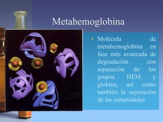 Metahemoglobina
• Molécula de
metahemoglobina en
fase más avanzada de
degradación con
separación de los
grupos HEM y
globina, así como
también la separación
de las subunidades
 