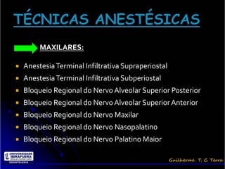 MAXILARES:

   Anestesia Terminal Infiltrativa Supraperiostal
   Anestesia Terminal Infiltrativa Subperiostal
   Bloqueio Regional do Nervo Alveolar Superior Posterior
   Bloqueio Regional do Nervo Alveolar Superior Anterior
   Bloqueio Regional do Nervo Maxilar
   Bloqueio Regional do Nervo Nasopalatino
   Bloqueio Regional do Nervo Palatino Maior
 