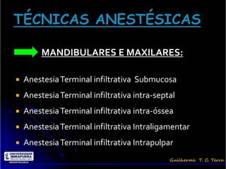 MANDIBULARES E MAXILARES:

   Anestesia Terminal infiltrativa Submucosa
   Anestesia Terminal infiltrativa intra-septal
   Anestesia Terminal infiltrativa intra-óssea
   Anestesia Terminal infiltrativa Intraligamentar
   Anestesia Terminal infiltrativa Intrapulpar
 