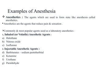 Anethesia & euthanasia presentation new.....pptx