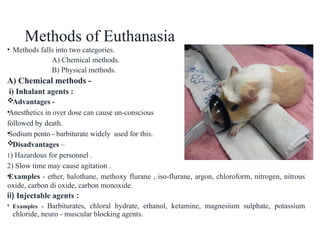 Anethesia & euthanasia presentation new.....pptx