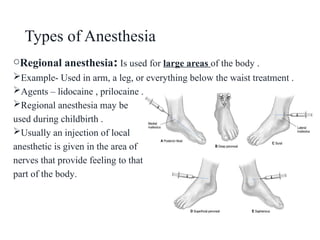 Anethesia & euthanasia presentation new.....pptx