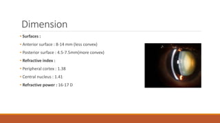 Peripheral Dimension Anetrior Segment anatomy. | PPTX