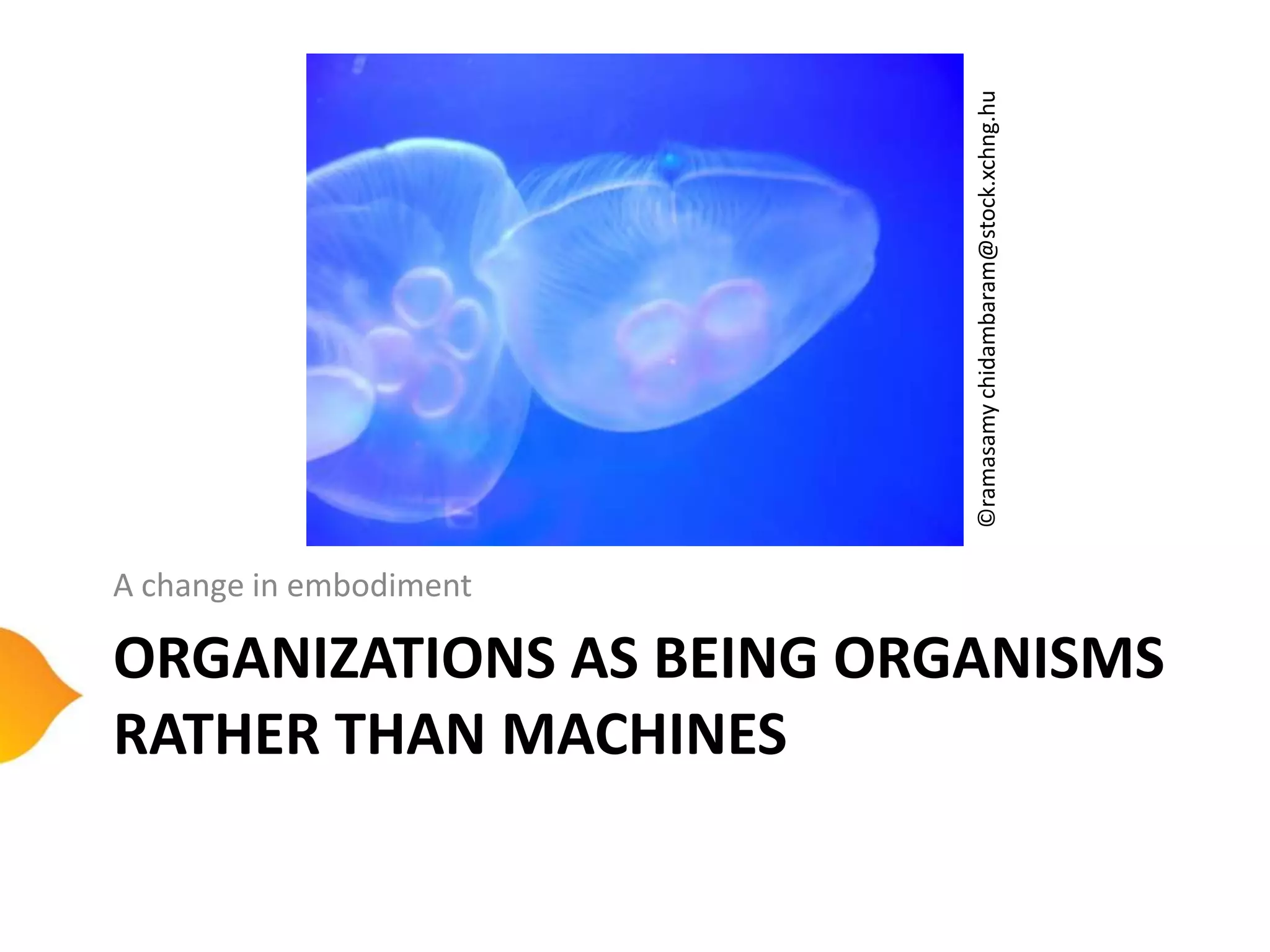 ©ramasamy chidambaram@stock.xchng.hu
A change in embodiment

ORGANIZATIONS AS BEING ORGANISMS
RATHER THAN MACHINES
 