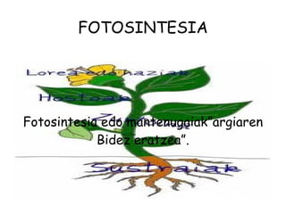 FOTOSINTESIA Fotosintesia edo  mantenugaiak”argiaren  Bidez aratzea”. Fotosintesia edo mantenugaiak”argiaren Bidez eratzea”. 