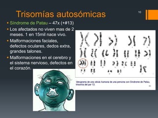 Trisomías autosómicas
 Síndrome de Patau – 47x (+#13)
 Los afectados no viven mas de 2
meses. 1 en 15mil nace vivo.
 Malformaciones faciales,
defectos oculares, dedos extra,
grandes talones.
 Malformaciones en el cerebro y
el sistema nervioso, defectos en
el corazón.
10
 