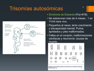 Trisomías autosómicas
 Síndrome de Edwards 47x(+#18)
 No sobreviven más de 4 meses . 1 en
11mil nace vivo.
 Pequeños al nacer, lento crecimiento
y discapacidad mental. Puños
apretados y pies malformados.
 Fallas en el corazón, malformaciones
cardíacas y neumonía: causas de
muerte.
11
 