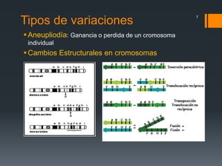 Tipos de variaciones
Aneupliodía: Ganancia o perdida de un cromosoma
individual
Cambios Estructurales en cromosomas
7
 