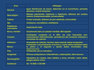 Características de la Trisomía 13 De  /15 000 a 1/25 000 Incidencia Hipoplasia de crestas, asas radiales y arcos, trirradio –axial- distal, pliegue palmar único.  Dermatoglifos Riñones poliquísticos, hidronefrosis, criptorquidia, útero bicorne Urogenital Polidactilia, pie en mecedora Pies Polidactilia; frecuentemente el tercero y cuarto dedos doblados sobre la palma y el segundo y quinto dedos encimados; uñas hiperconvexas Manos Anomalías de rotación, hernias, bazo ausente, bazos accesorios. Abdomen Cardiopatía congénita en el 88%, las mas frecuentes son: comunicación interventricular, persistencia del conducto arterioso y anomalías de rotación. Corazón Usualmente labio y/o paladar hendido; Micrognatia Boca y mentón Implantación baja Pabellones auriculares Coloboma, microftalmía, anfoftalmía Ojo Frente inclinada, defectos de piel cabelluda, microcefalia Cabeza Retraso psicomotor, hipotonía o hipertonía; defectos del cerebro anterior (holoprosencefalia, arrinencefalia) Neurológico Igual distribución de sexos, detención en el crecimiento, periodos apneicos, muerte temprana General Hallazgos Área 
