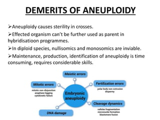 DEMERITS OF ANEUPLOIDY
Aneuploidy causes sterility in crosses.
Effected organism can’t be further used as parent in
hybridisatioon programmes.
In diploid species, nullisomics and monosomics are inviable.
Maintenance, production, identification of aneuploidy is time
consuming, requires considerable skills.
 
