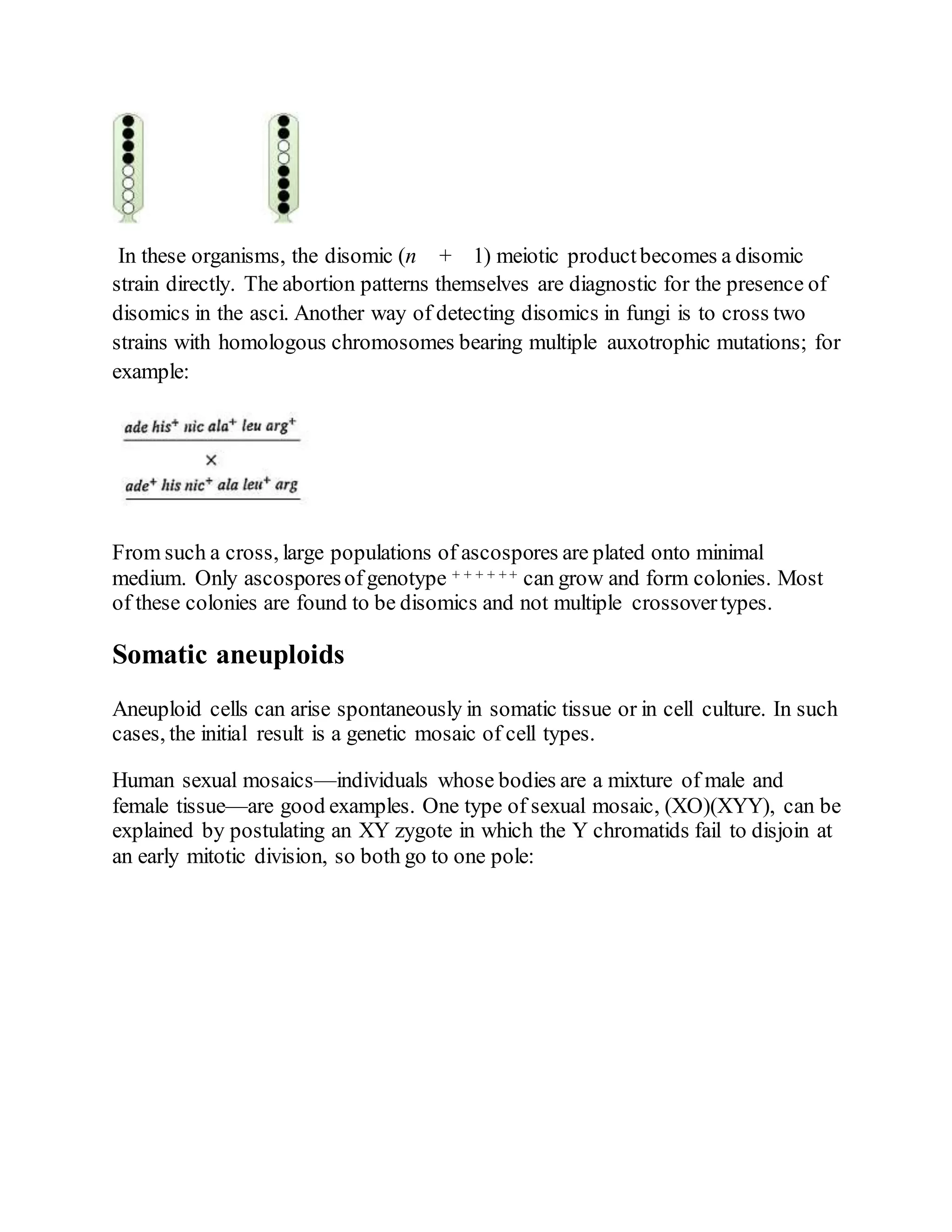 In these organisms, the disomic (n + 1) meiotic productbecomes a disomic
strain directly. The abortion patterns themselves are diagnostic for the presence of
disomics in the asci. Another way of detecting disomics in fungi is to cross two
strains with homologous chromosomes bearing multiple auxotrophic mutations; for
example:
From such a cross, large populations of ascospores are plated onto minimal
medium. Only ascosporesof genotype + + + + + + can grow and form colonies. Most
of these colonies are found to be disomics and not multiple crossovertypes.
Somatic aneuploids
Aneuploid cells can arise spontaneously in somatic tissue or in cell culture. In such
cases, the initial result is a genetic mosaic of cell types.
Human sexual mosaics—individuals whose bodies are a mixture of male and
female tissue—are good examples. One type of sexual mosaic, (XO)(XYY), can be
explained by postulating an XY zygote in which the Y chromatids fail to disjoin at
an early mitotic division, so both go to one pole:
 