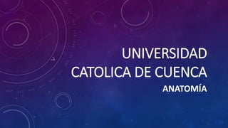 UNIVERSIDAD
CATOLICA DE CUENCA
ANATOMÍA
 