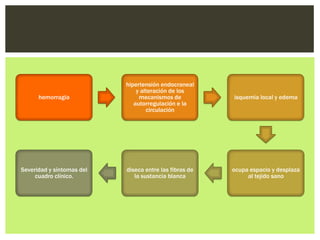 hipertensión endocraneal
                               y alteración de los
      hemorragia                mecanismos de           isquemia local y edema
                              autorregulación e la
                                   circulación




Severidad y síntomas del   diseca entre las fibras de   ocupa espacio y desplaza
     cuadro clínico.          la sustancia blanca            al tejido sano
 