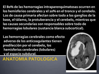 El 80% de las hemorragias intraparenquimatosas ocurren en
los hemisferios cerebrales y el 20% en el tronco y el cerebelo.
Los de causa primaria afectan sobre todo a los ganglios de la
base, el tálamo, la protuberancia y el cerebelo, mientras que
las causas secundarias son responsables sobre todo de
hemorragias lobulares (sustancia blanca subcortical).

Las hemorragias cerebrales como efecto
adverso de los anticoagulantes tienen
predilección por el cerebelo, los
hemisferios cerebrales (lobulares)
y el espacio subdural.
 